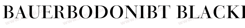 BauerBodoniBT BlackI字体转换